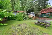 43873 RYALL ROAD - thumbnail 31