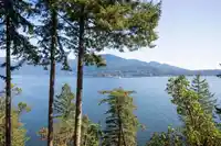 673 CLIFF ROAD - thumbnail 21