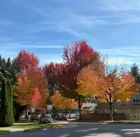 995 E 47TH AVENUE - thumbnail 22