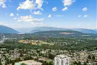 3908 5987 WILSON AVENUE - thumbnail 19