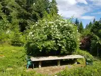 380 S WARBLER ROAD - thumbnail 25