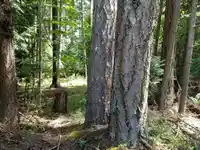 380 S WARBLER ROAD - thumbnail 37
