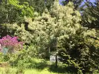 380 S WARBLER ROAD - thumbnail 38