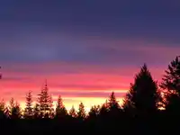 380 S WARBLER ROAD - thumbnail 40