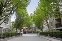 C111 8929 202 STREET - thumbnail 33