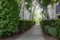 C111 8929 202 STREET - thumbnail 34