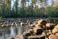 46 433 SEYMOUR RIVER PLACE - thumbnail 29