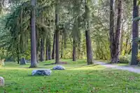 46 433 SEYMOUR RIVER PLACE - thumbnail 30