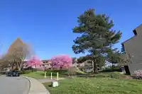 214 8140 COLONIAL DRIVE - thumbnail 25