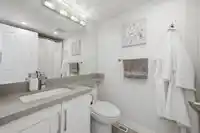 817 ROCHE POINT DRIVE - thumbnail 22