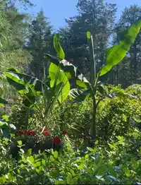 604 WAUGH ROAD - thumbnail 23