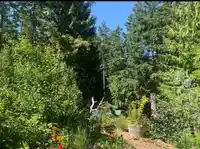 604 WAUGH ROAD - thumbnail 31