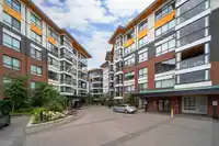 413 11641 227 STREET - thumbnail 38