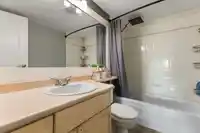224 33175 OLD YALE ROAD - thumbnail 18
