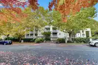 209 20145 55A AVENUE - thumbnail 19