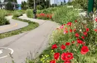 6689 VINE STREET - thumbnail 14