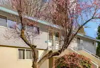 1051 CECILE DRIVE - thumbnail 7