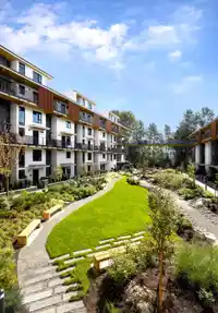 505 310 SALTER STREET - thumbnail 17