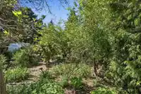 8983 TRATTLE STREET - thumbnail 14