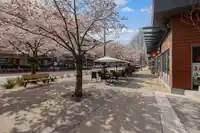 316 20728 WILLOUGHBY TOWN CENTRE DRIVE - thumbnail 36