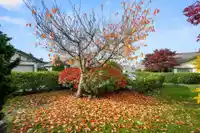 79 9012 WALNUT GROVE DRIVE - thumbnail 31