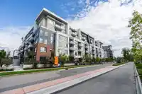 321 7936 206 STREET - thumbnail 12