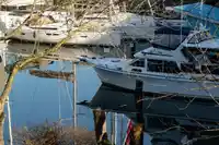 302 1502 ISLAND PARK WALK - thumbnail 27