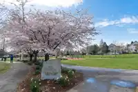 56 15968 82 AVENUE - thumbnail 34