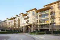 253 8258 207A STREET - thumbnail 20