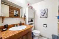 254 DAVIS CRESCENT - thumbnail 19