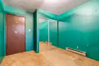 254 DAVIS CRESCENT - thumbnail 25