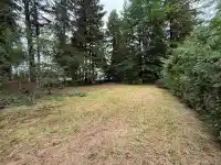 3627 204A STREET - thumbnail 4