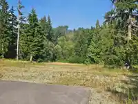 32201 RICHARDS AVENUE - thumbnail 10