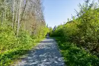 6 24076 112 AVENUE - thumbnail 32