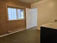 389 ALDER ST STREET - thumbnail 16