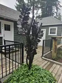 389 ALDER ST STREET - thumbnail 26