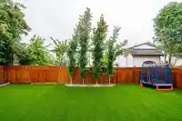 27350 33A AVENUE - thumbnail 36