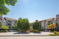 417 8915 202 STREET - thumbnail 35