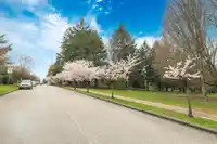 14 W 37TH AVENUE - thumbnail 23
