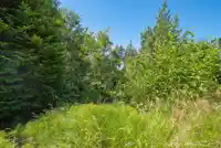 7949 REDROOFFS ROAD - thumbnail 36