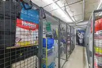 5 230 SALTER STREET - thumbnail 29