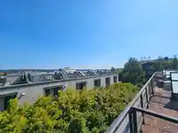 5 230 SALTER STREET - thumbnail 5