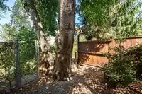 20087 50A AVENUE - thumbnail 39