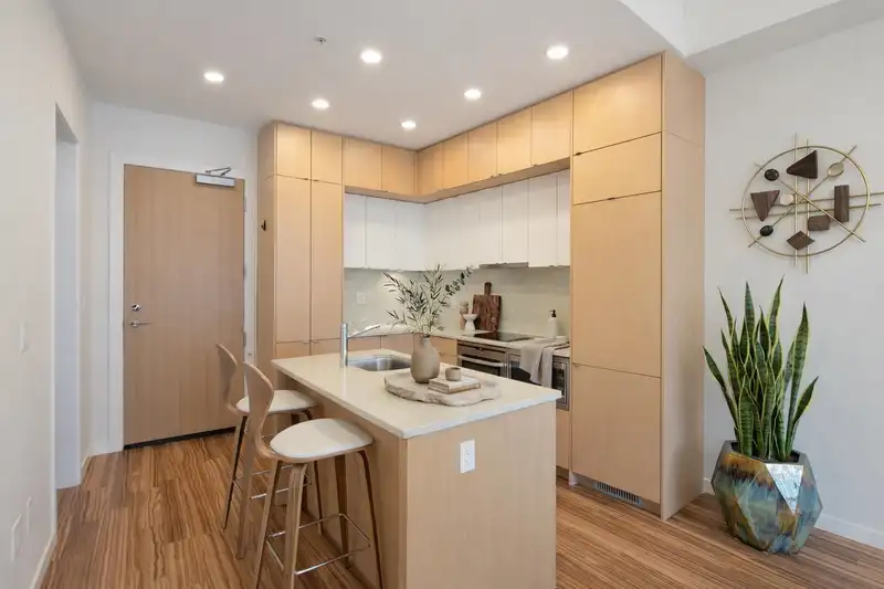 1202 1205 HOWE STREET - photo 4 of 18