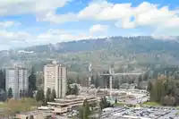 1909 3833 EVERGREEN PLACE - thumbnail 20