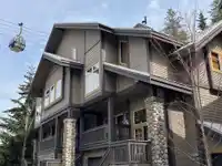 21 4501 BLACKCOMB WAY - thumbnail 1