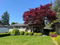 4487 202 STREET - thumbnail 1