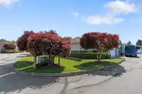 27 8889 212 STREET - thumbnail 3