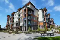 430 12109 223 STREET - thumbnail 1