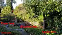 20530 WESTFIELD AVENUE - thumbnail 6